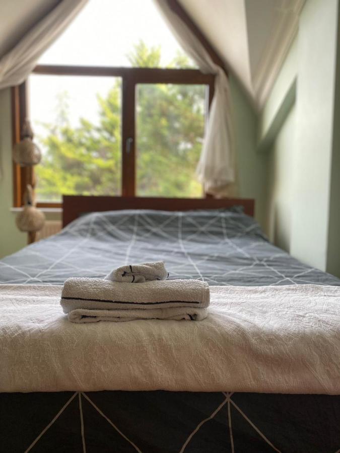 Otantik Havalimanina Yakin Villa Arnavutkoy Dış mekan fotoğraf